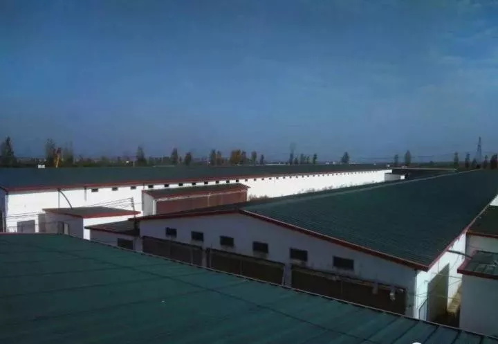 澳门十大电子游戏入口网站
