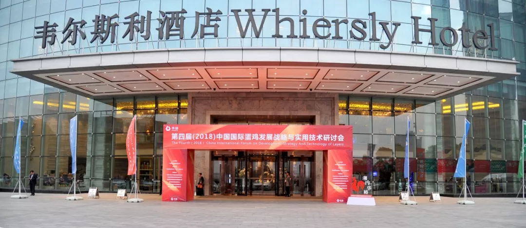 澳门十大电子游戏入口网站