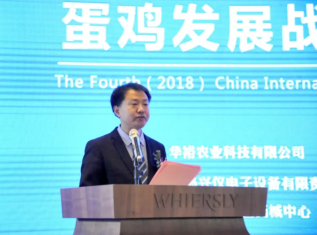 澳门十大电子游戏入口网站