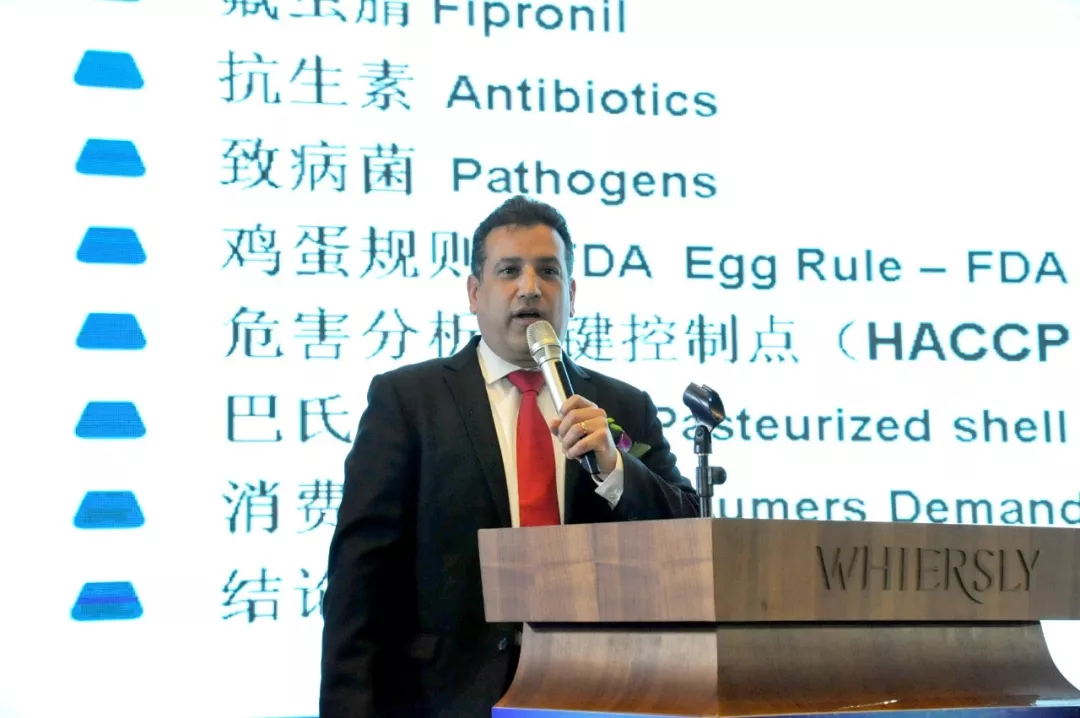 澳门十大电子游戏入口网站