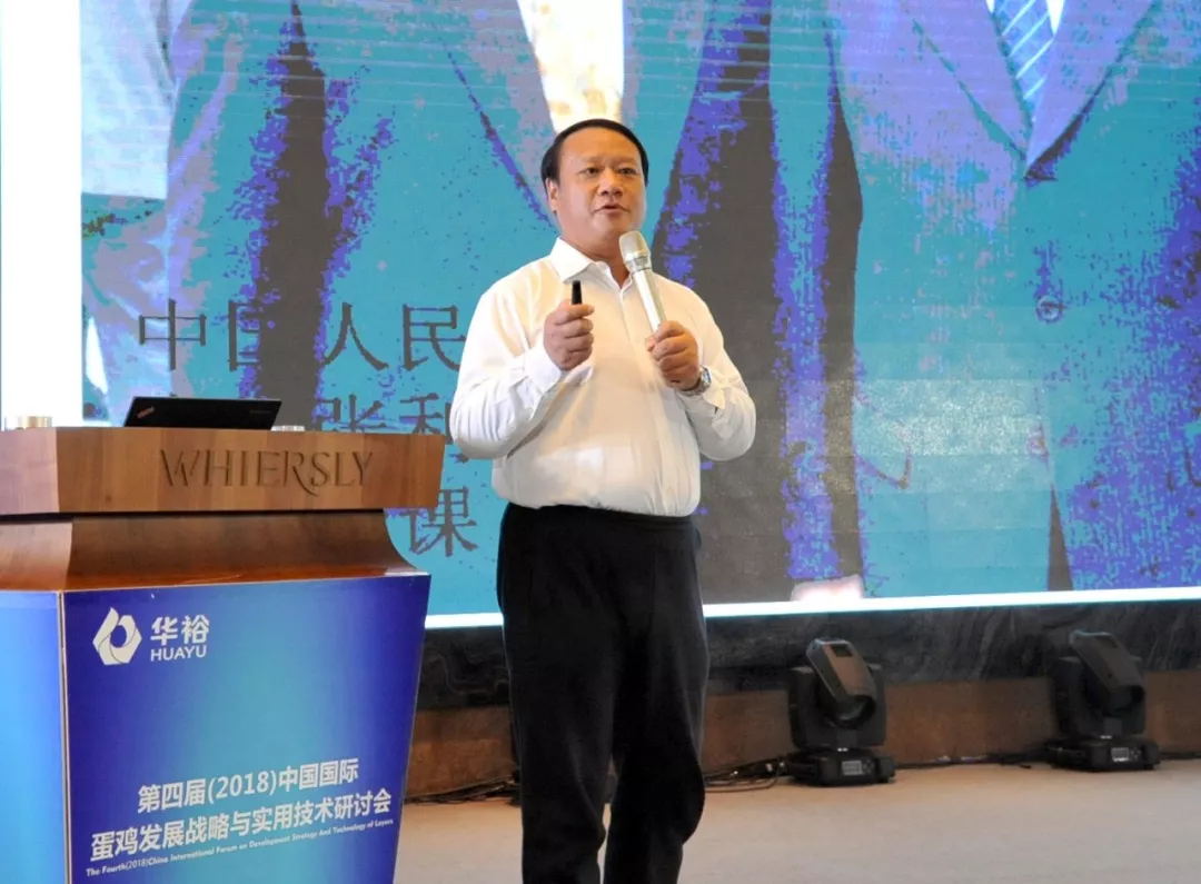 澳门十大电子游戏入口网站