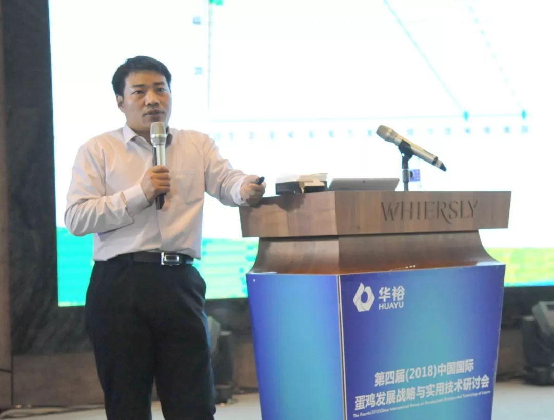 澳门十大电子游戏入口网站