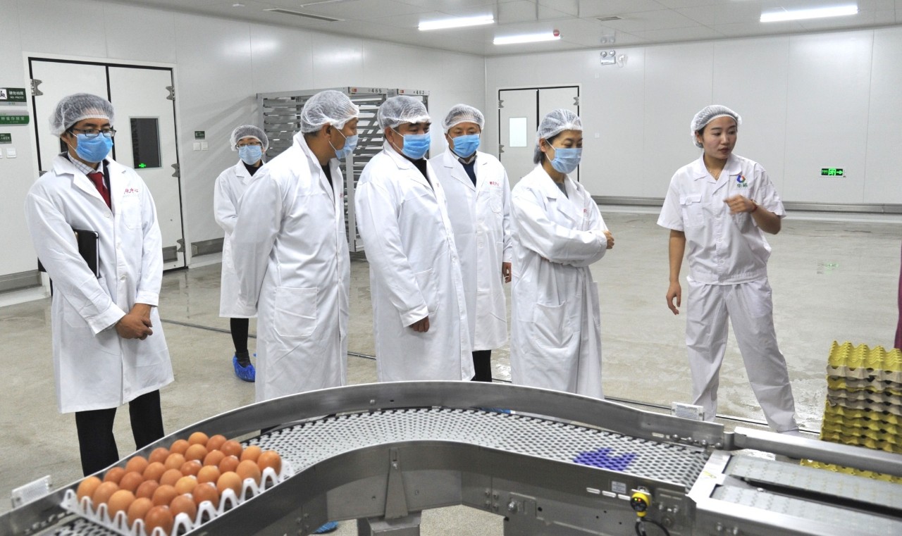 澳门十大电子游戏入口网站