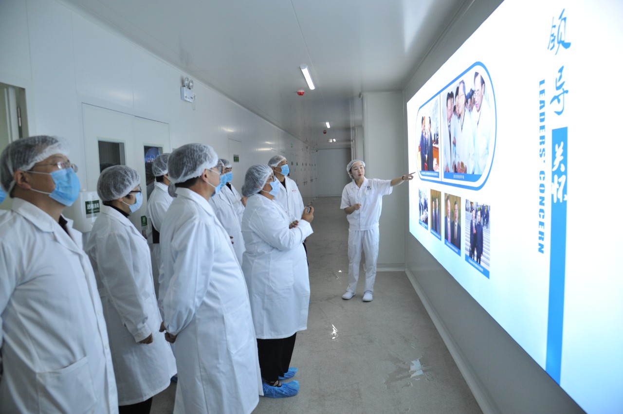 澳门十大电子游戏入口网站