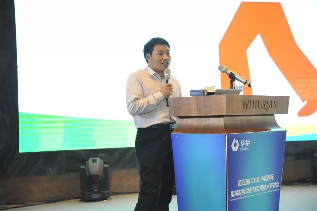 澳门十大电子游戏入口网站