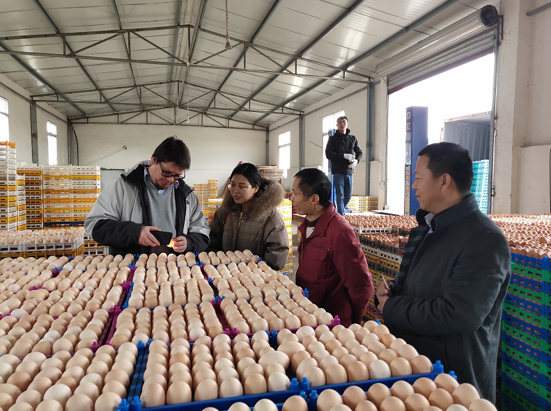 澳门十大电子游戏入口网站