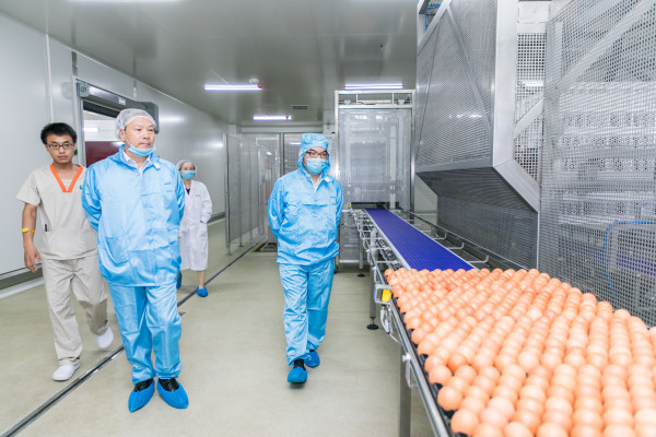 澳门十大电子游戏入口网站