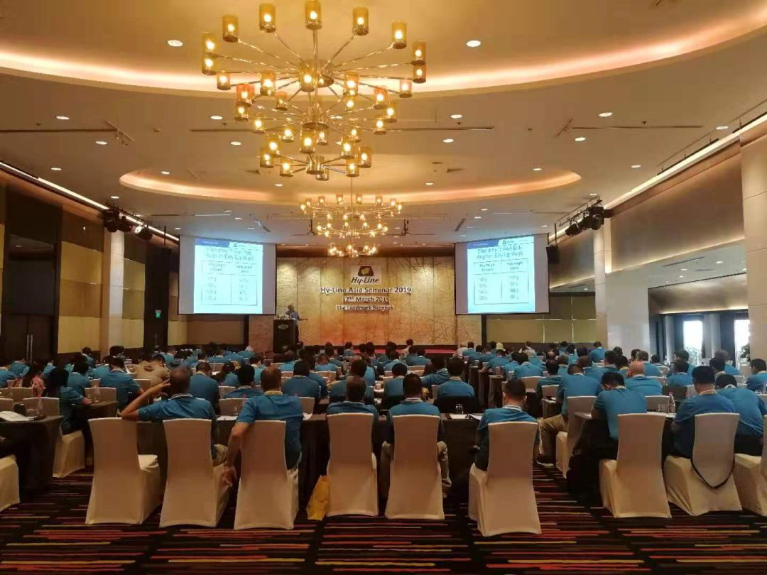 澳门十大电子游戏入口网站