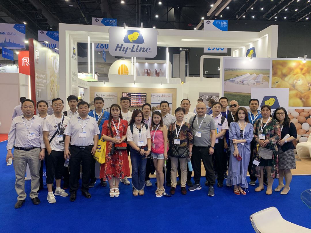 澳门十大电子游戏入口网站