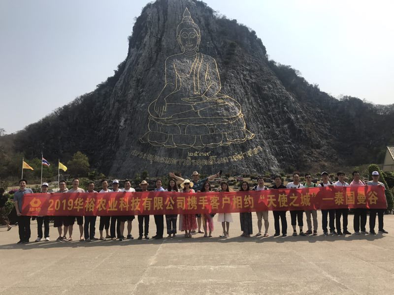 澳门十大电子游戏入口网站