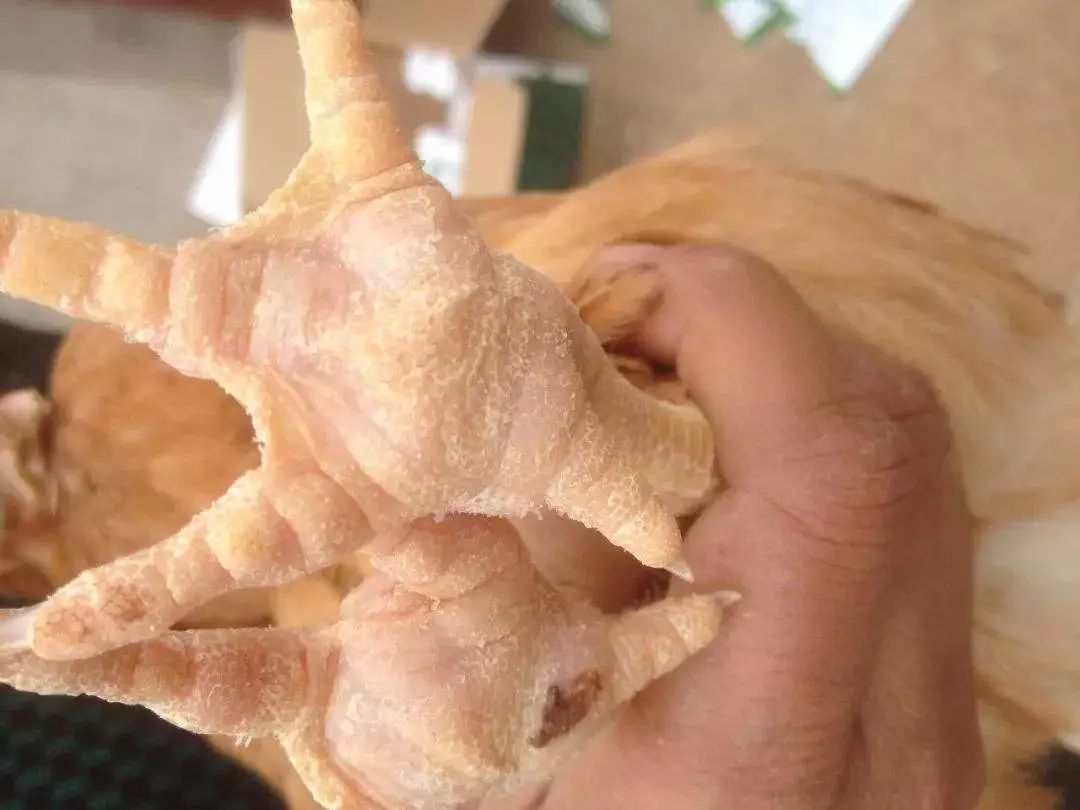 澳门十大电子游戏入口网站