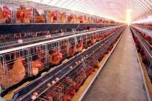 澳门十大电子游戏入口网站