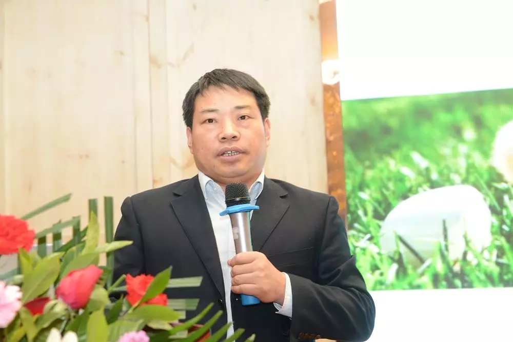 澳门十大电子游戏入口网站