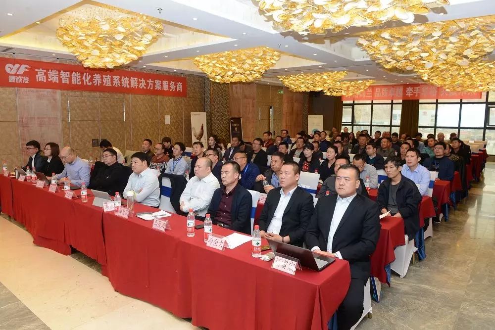 澳门十大电子游戏入口网站