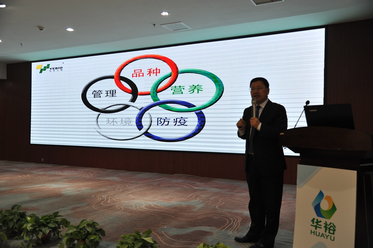 澳门十大电子游戏入口网站