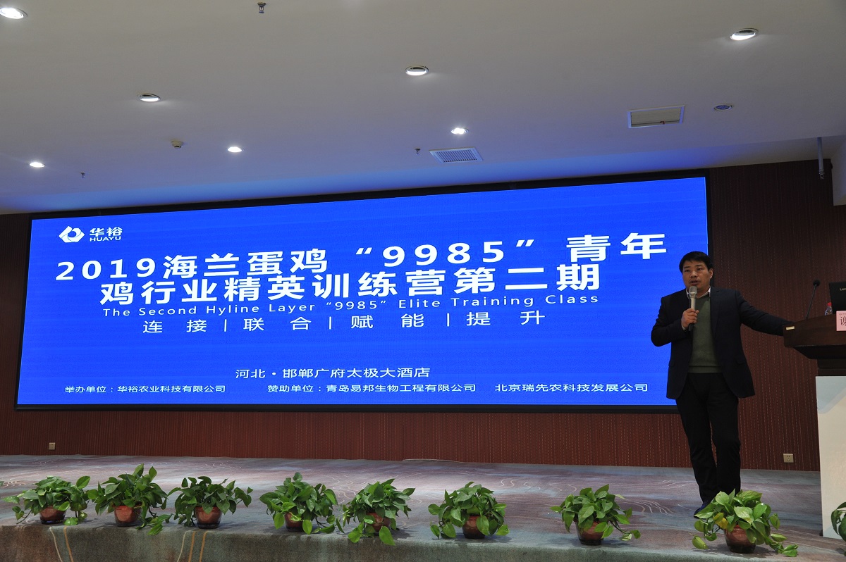 澳门十大电子游戏入口网站