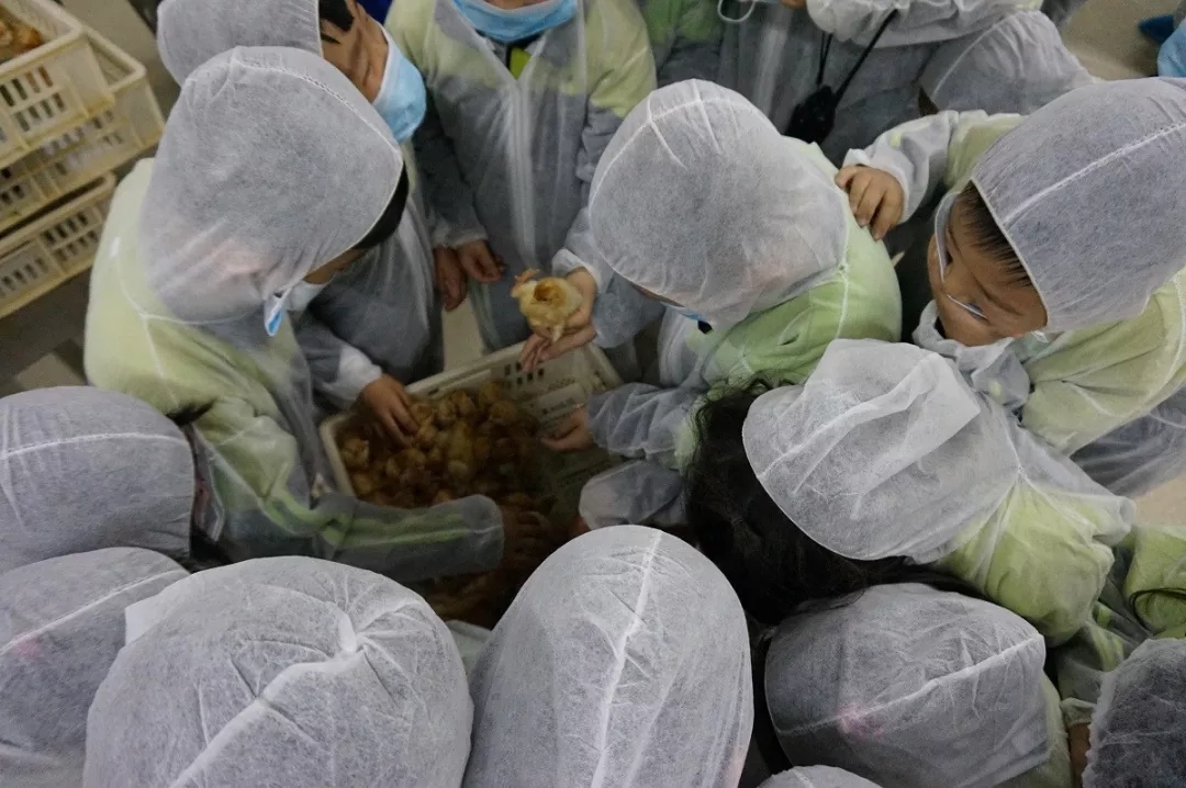 澳门十大电子游戏入口网站