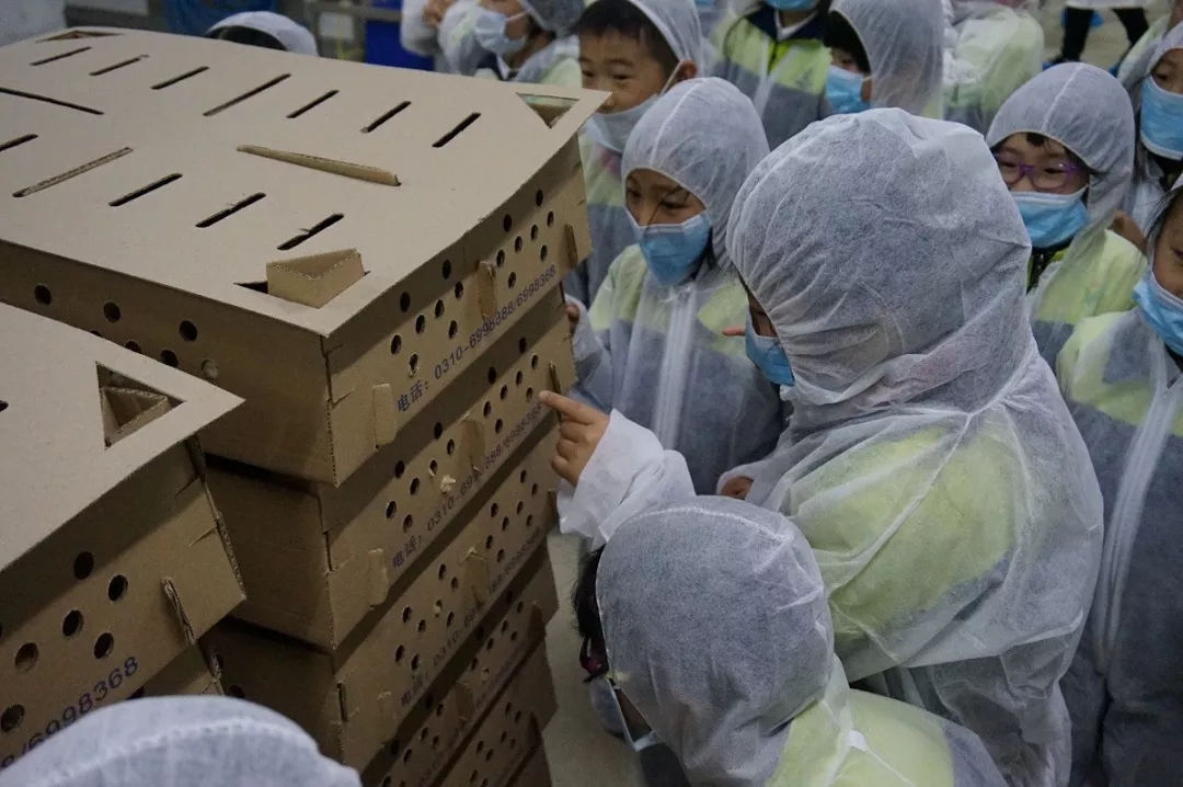 澳门十大电子游戏入口网站