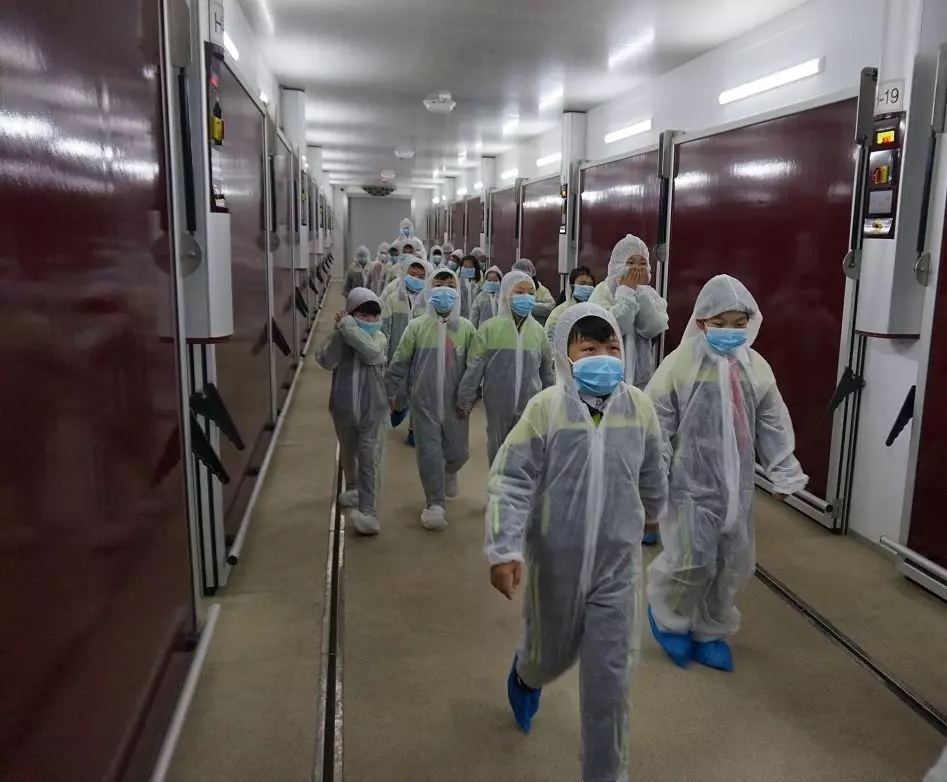 澳门十大电子游戏入口网站