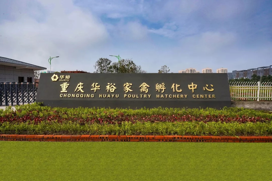 澳门十大电子游戏入口网站