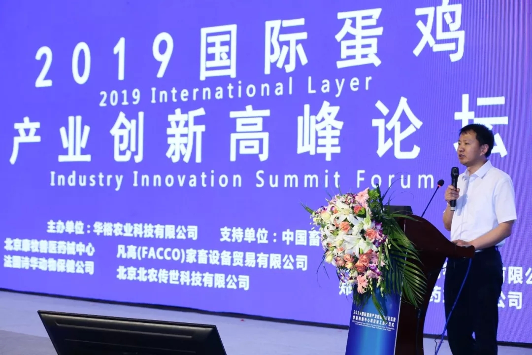 澳门十大电子游戏入口网站