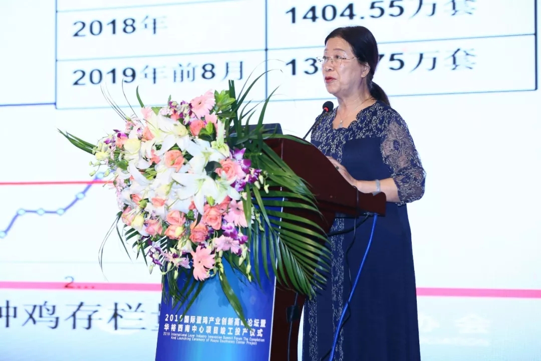 澳门十大电子游戏入口网站