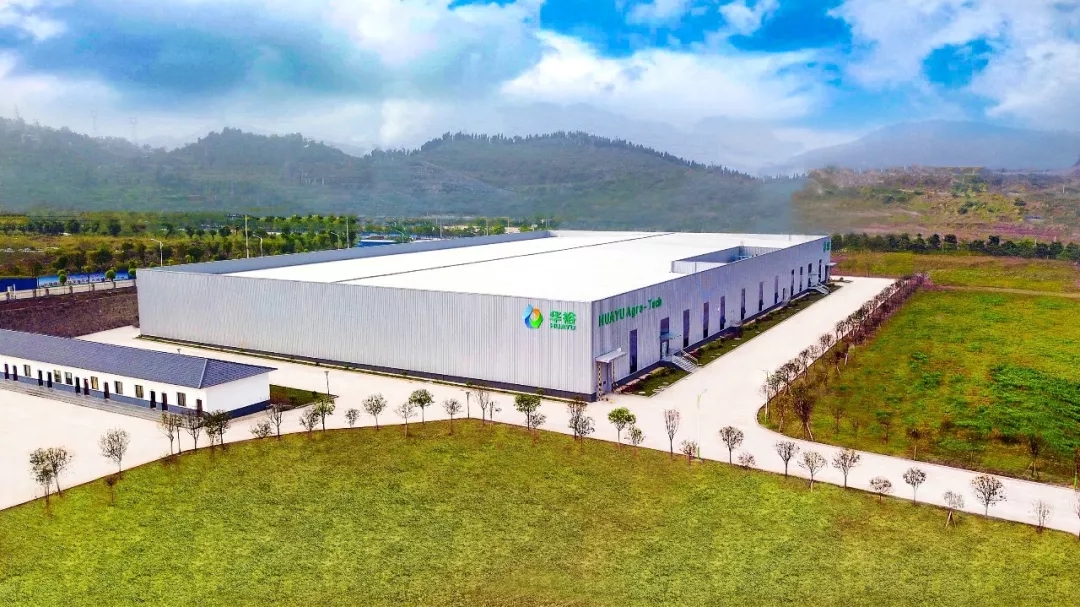 澳门十大电子游戏入口网站