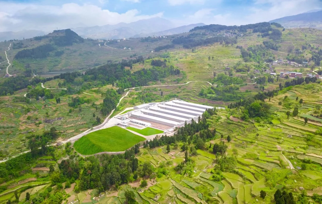 澳门十大电子游戏入口网站