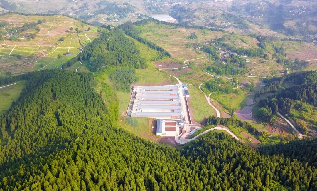 澳门十大电子游戏入口网站