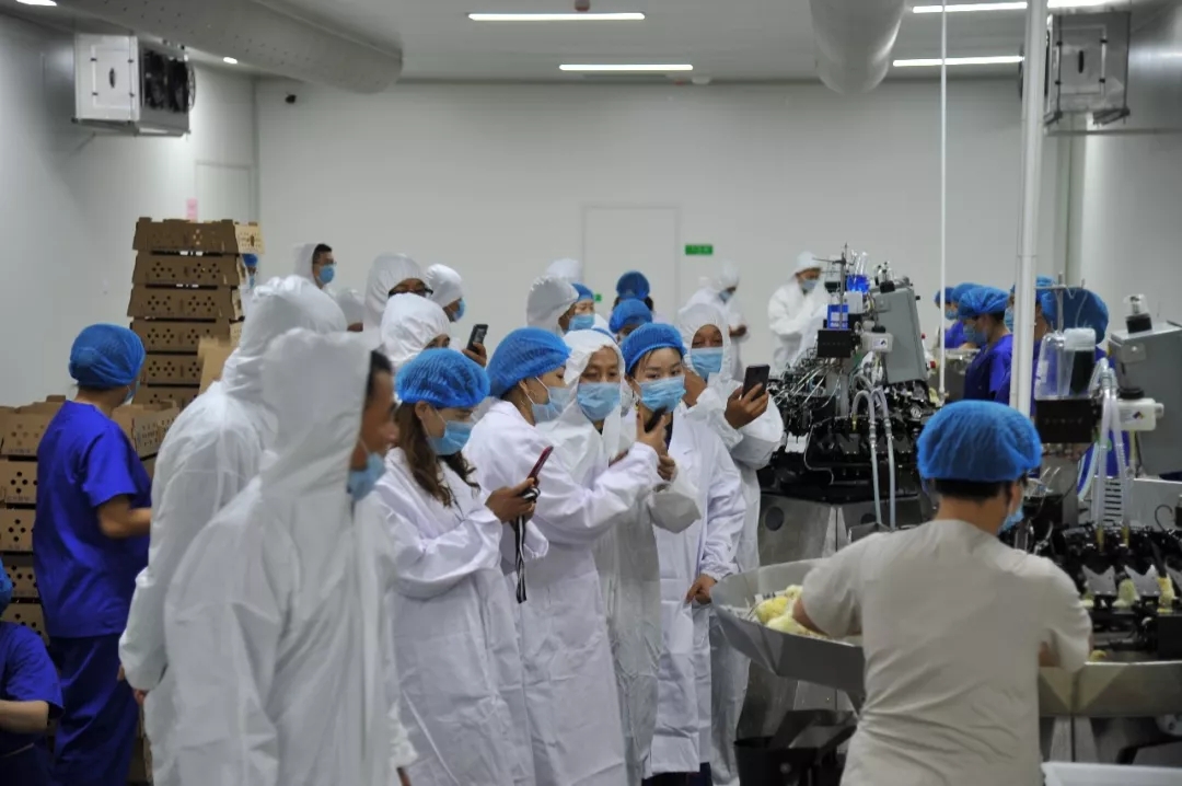 澳门十大电子游戏入口网站