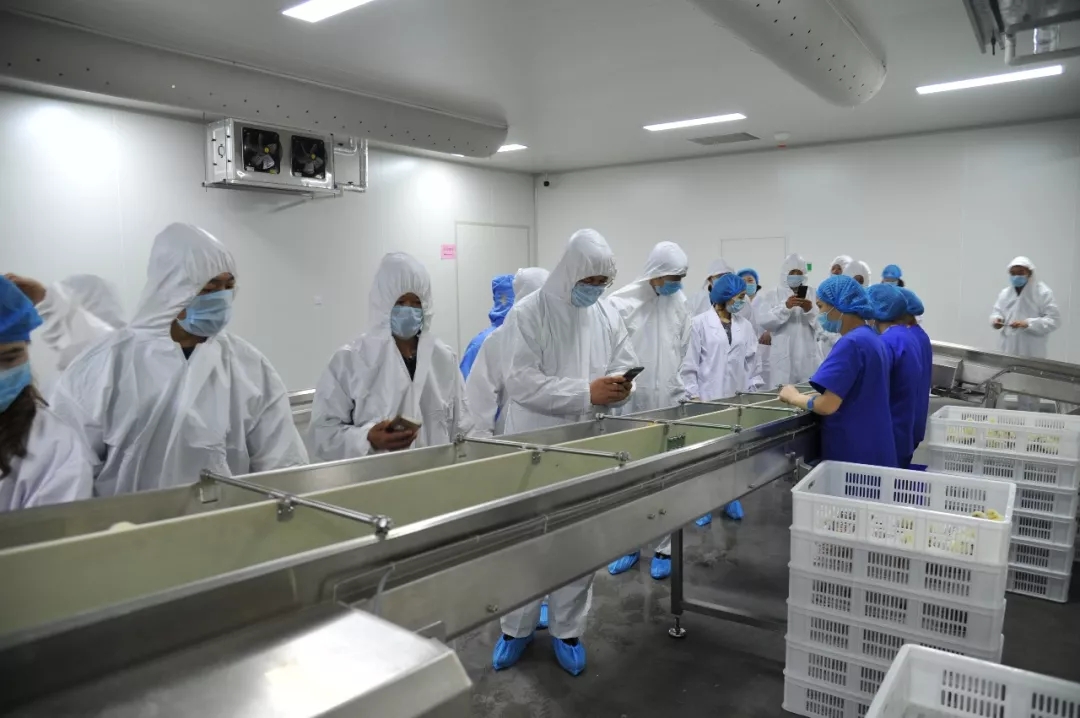 澳门十大电子游戏入口网站