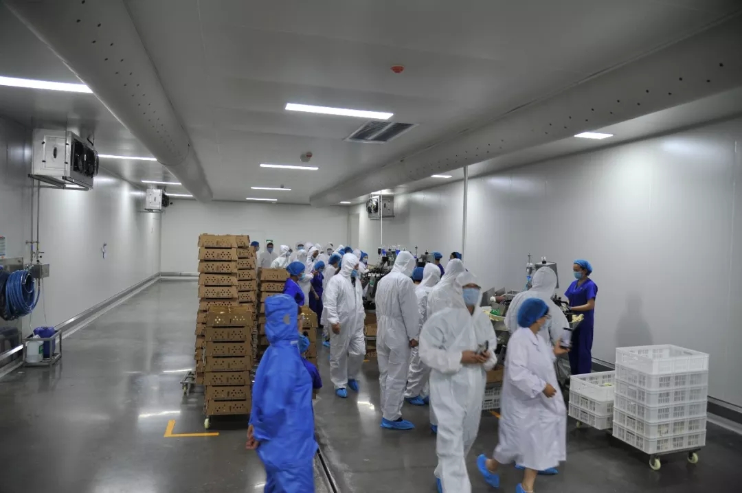 澳门十大电子游戏入口网站