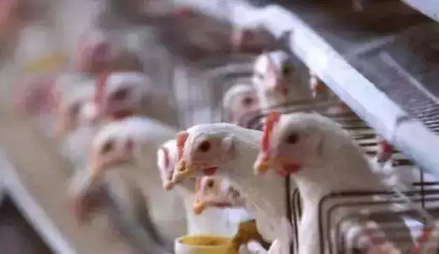 澳门十大电子游戏入口网站