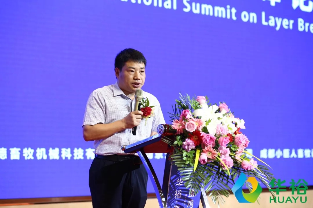 澳门十大电子游戏入口网站