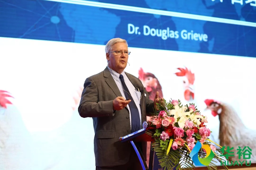 澳门十大电子游戏入口网站