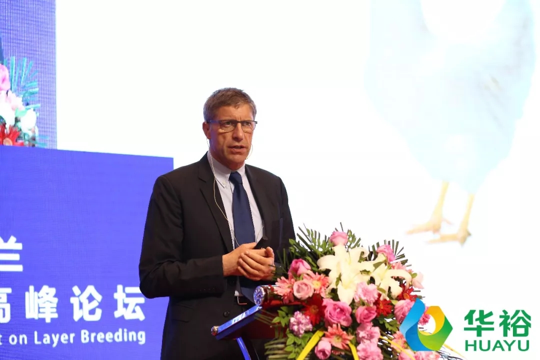 澳门十大电子游戏入口网站