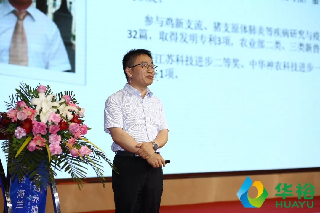 澳门十大电子游戏入口网站