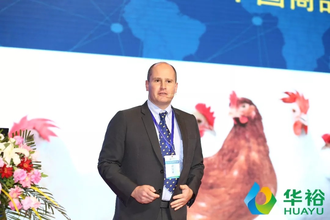 澳门十大电子游戏入口网站