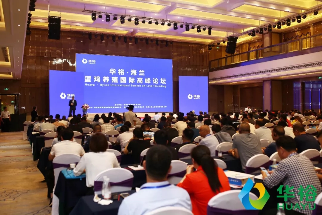 澳门十大电子游戏入口网站