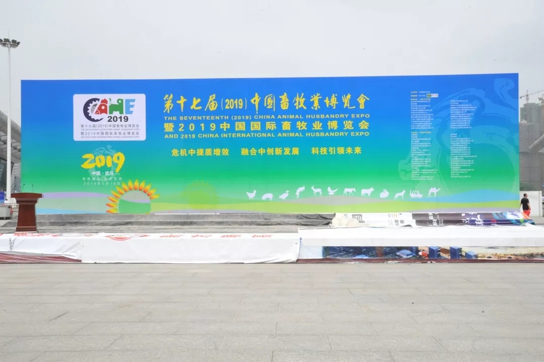 澳门十大电子游戏入口网站