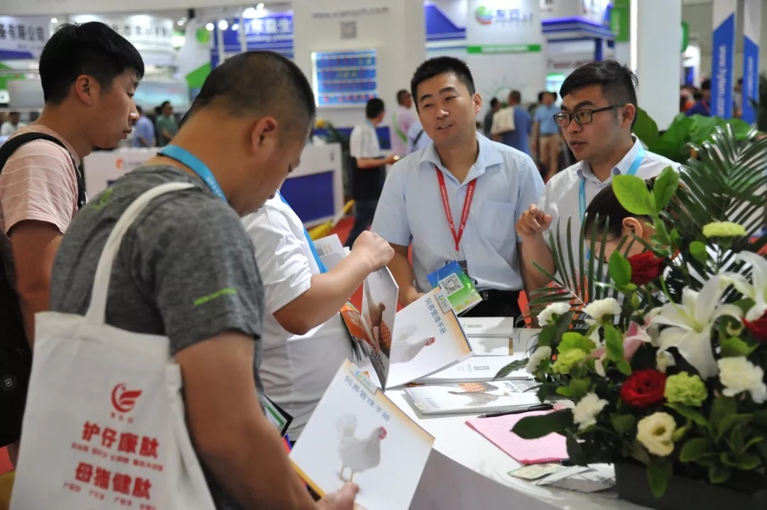 澳门十大电子游戏入口网站