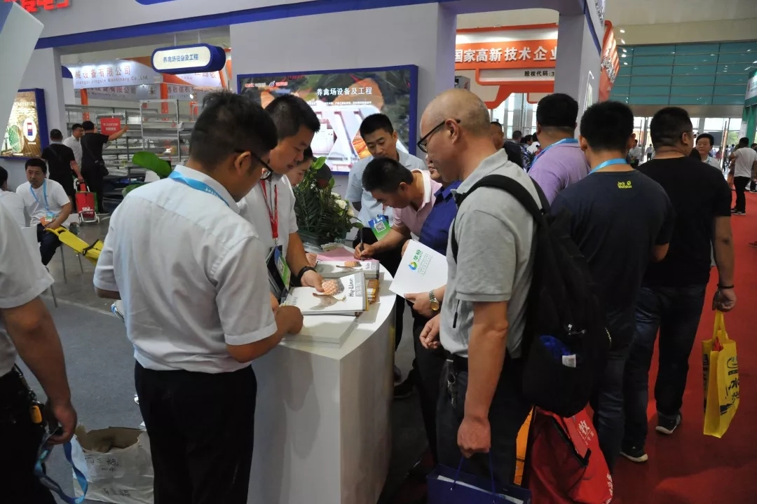 澳门十大电子游戏入口网站