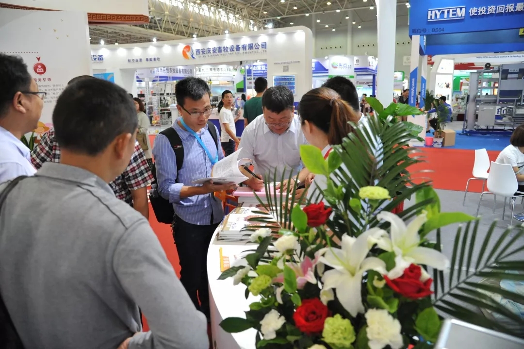 澳门十大电子游戏入口网站