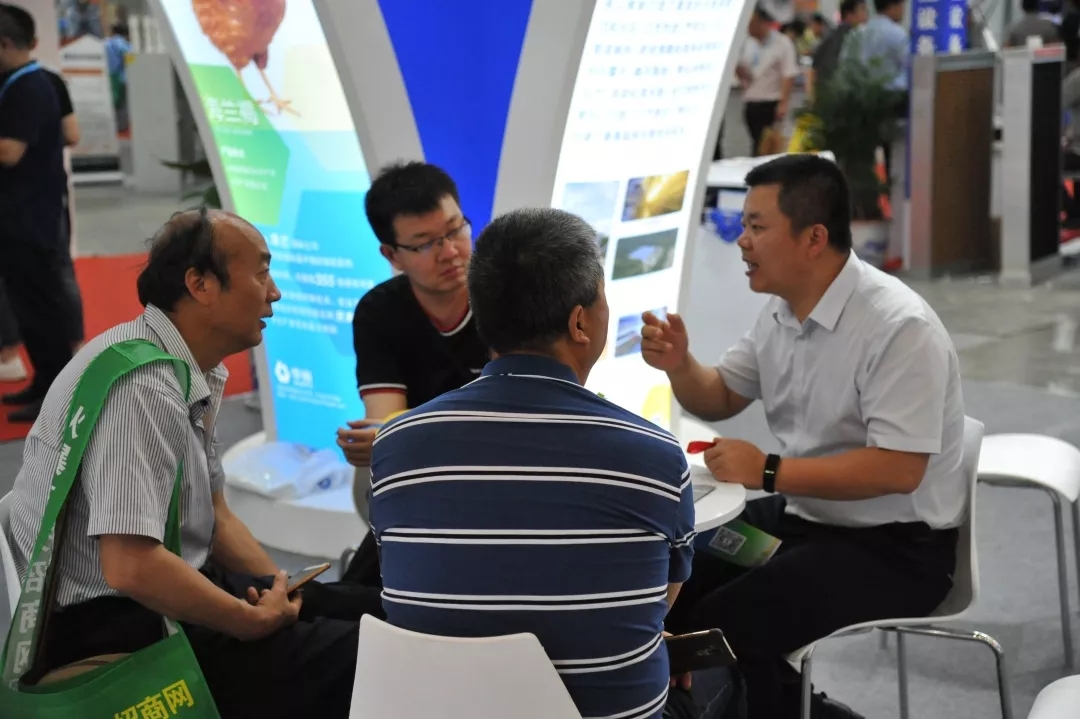 澳门十大电子游戏入口网站