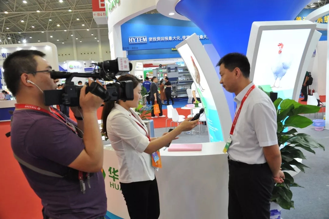 澳门十大电子游戏入口网站