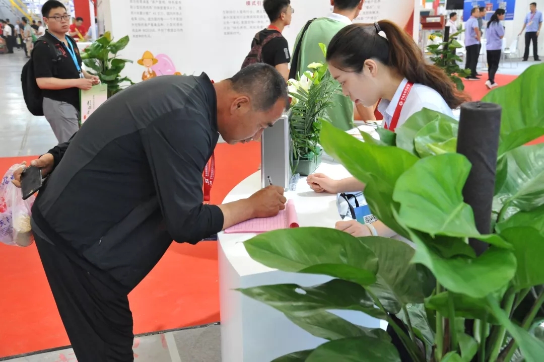 澳门十大电子游戏入口网站