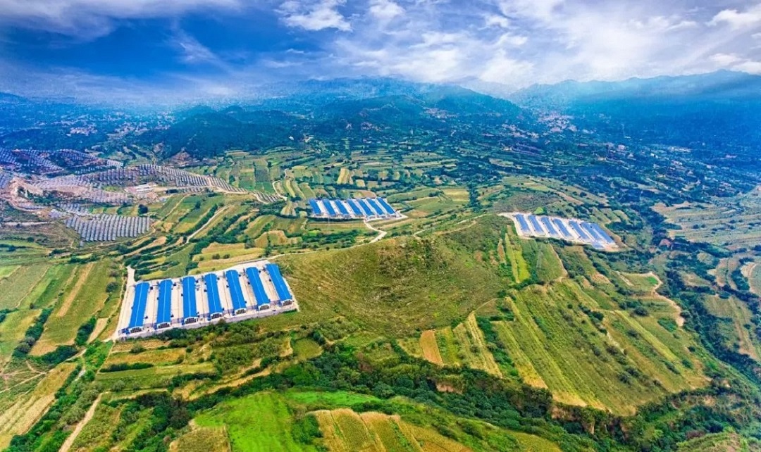 澳门十大电子游戏入口网站