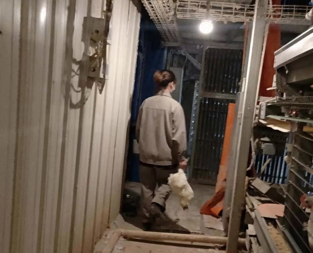 澳门十大电子游戏入口网站