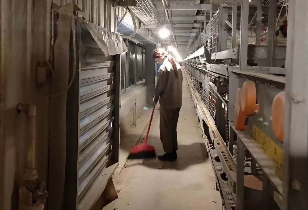 澳门十大电子游戏入口网站