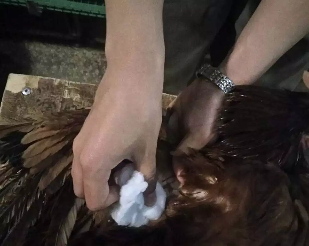 澳门十大电子游戏入口网站